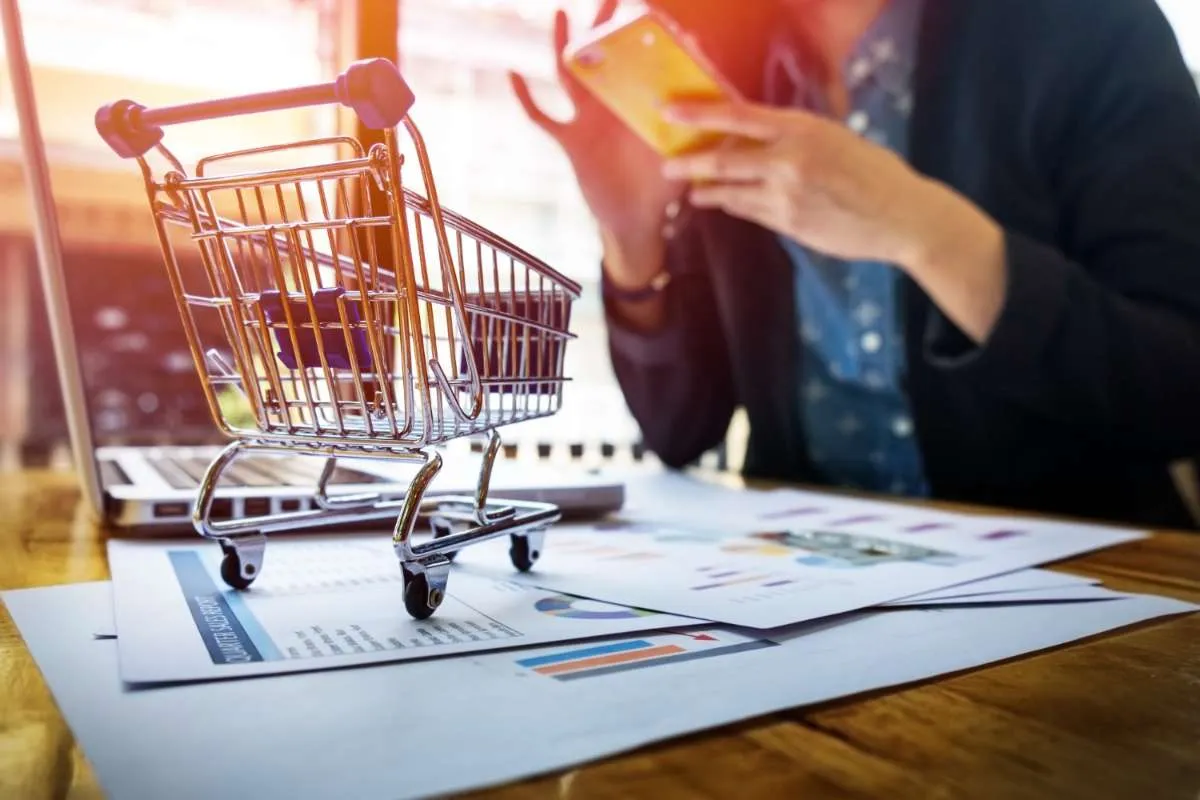 Dados Demográficos: Como Eles Influenciam as Vendas Online
